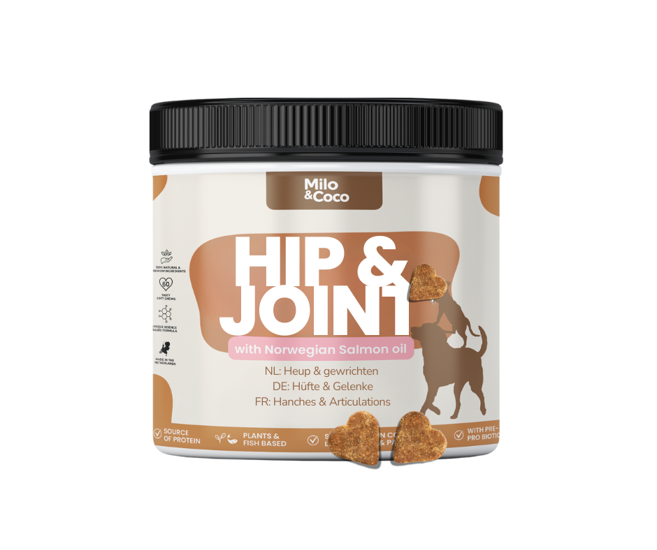 Hip & Joint