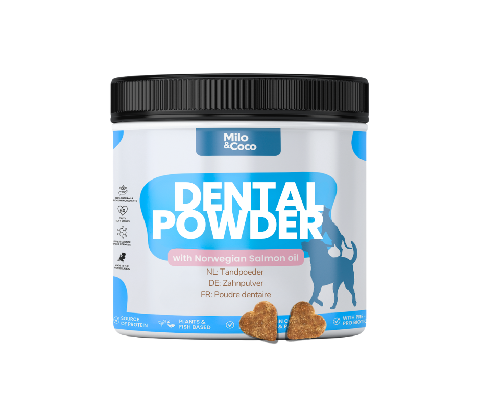 Dental Powder