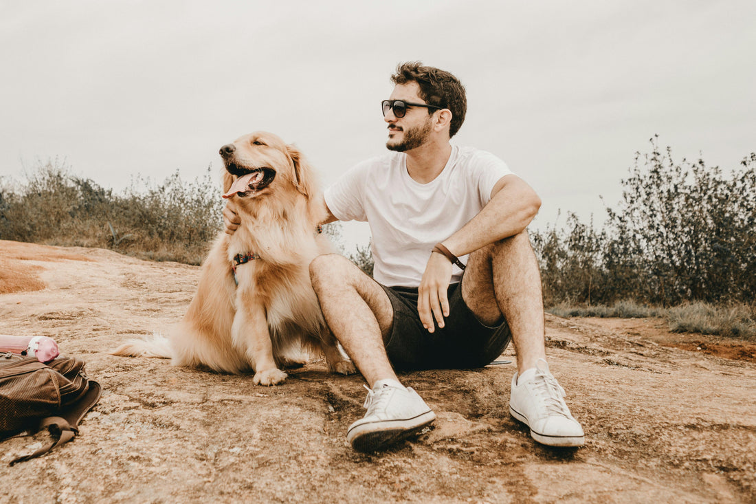 Gezonde Ontlasting bij Honden: Wat is Normaal en Hoe Help Je Je Hond?