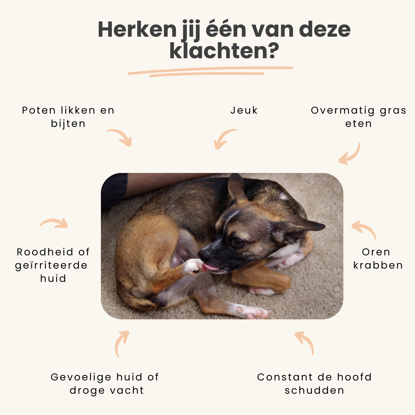 ANTI-JEUK & ALLERGIE