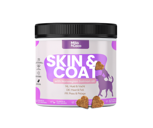 Skin & Coat