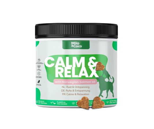 Calm & Relax