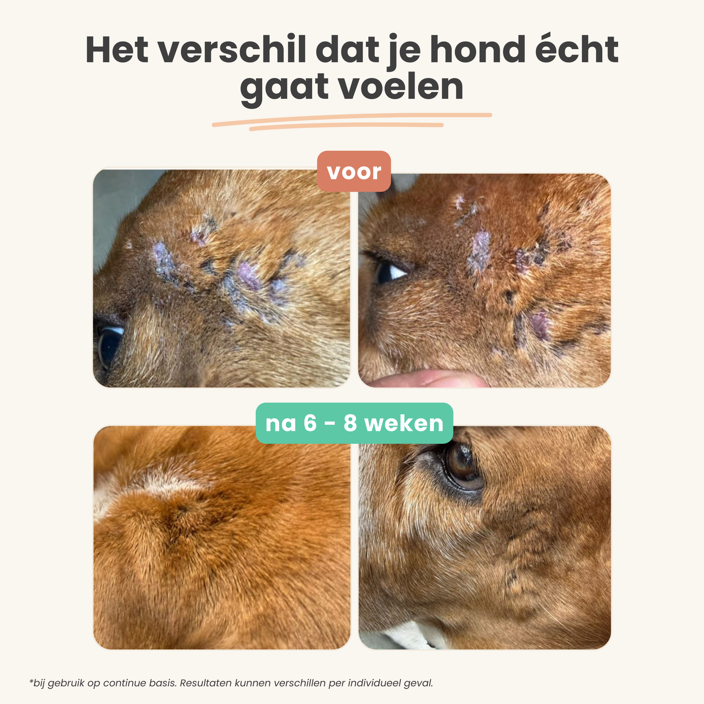 ANTI-JEUK & ALLERGIE