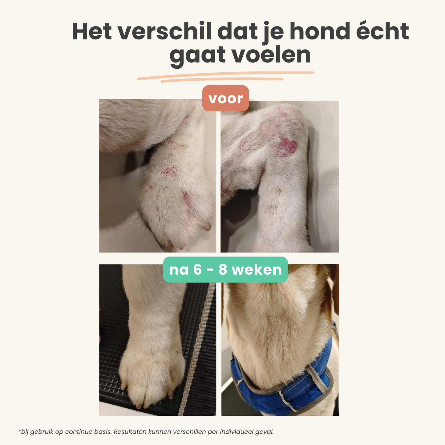 ANTI-JEUK & ALLERGIE